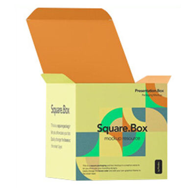 Tuck End Snap Lock Bottom Paper Packaging Box Matte Lamination